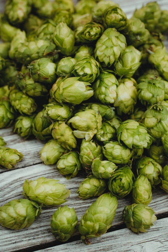 biere brasserie