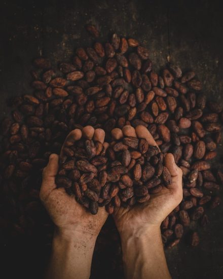café de spécialité commerce équitable