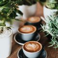 tasses de cafes