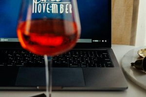 vin du soleil pontivy dégustation vin